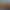 Carousel